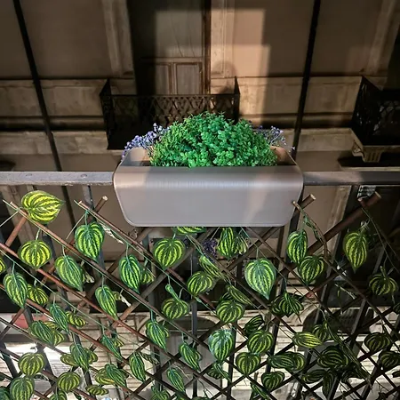 Duomo View Apartment