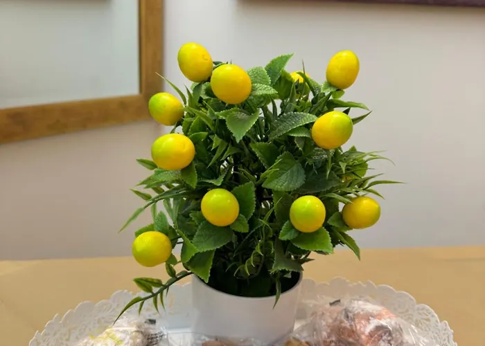 Appartement Duomo View